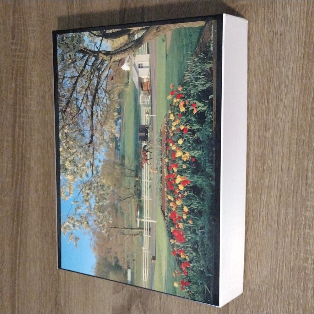 1,000 piece jigsaw puzzle